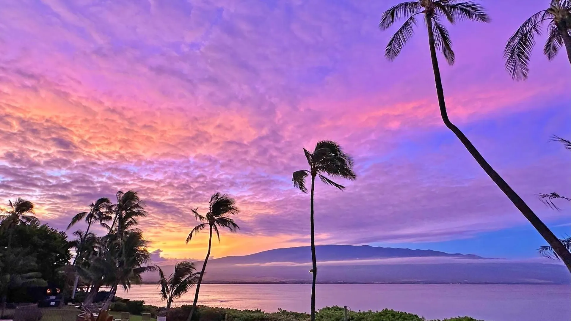 Maalaea Banyans 214 Appartement Wailuku